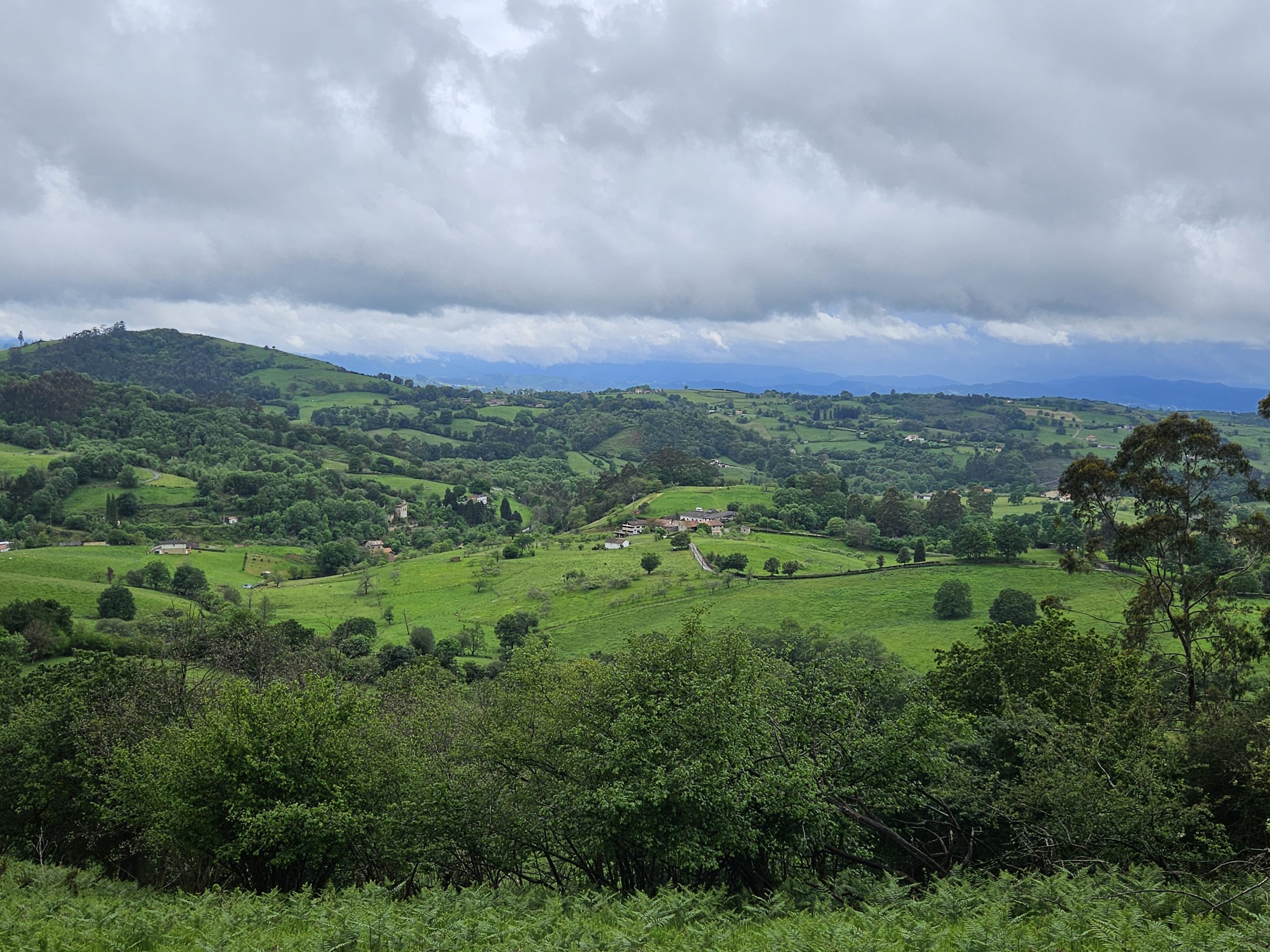 Paisaje del valle